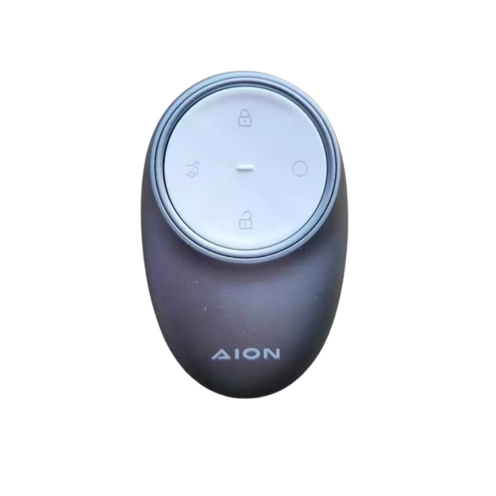 Case para GAC Aion - Kapzy